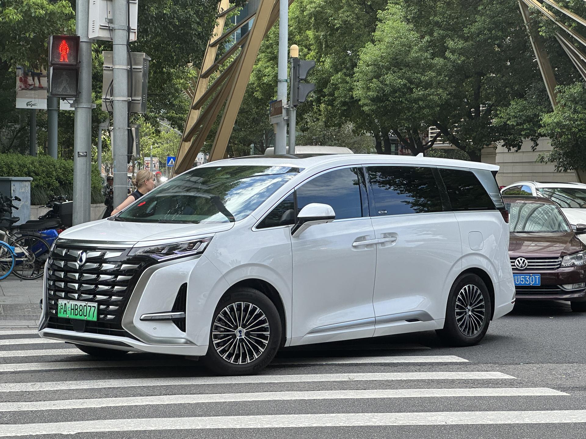 Denza D9 MPV in white, side profile on a city street in China