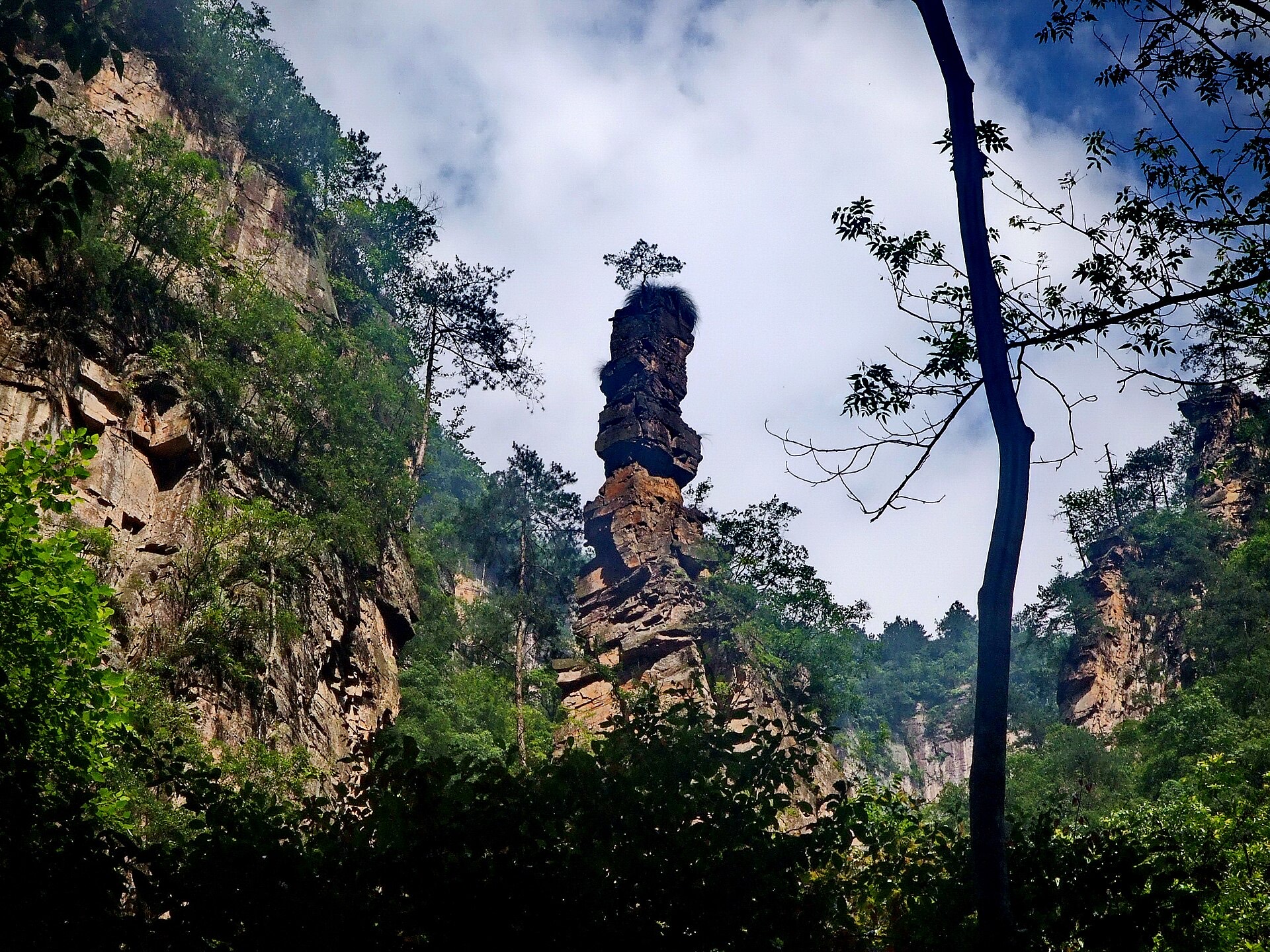 A sandstone pillar framed by trees seen from the Golden Whip Stream canyon floor in Zhangjiajie
