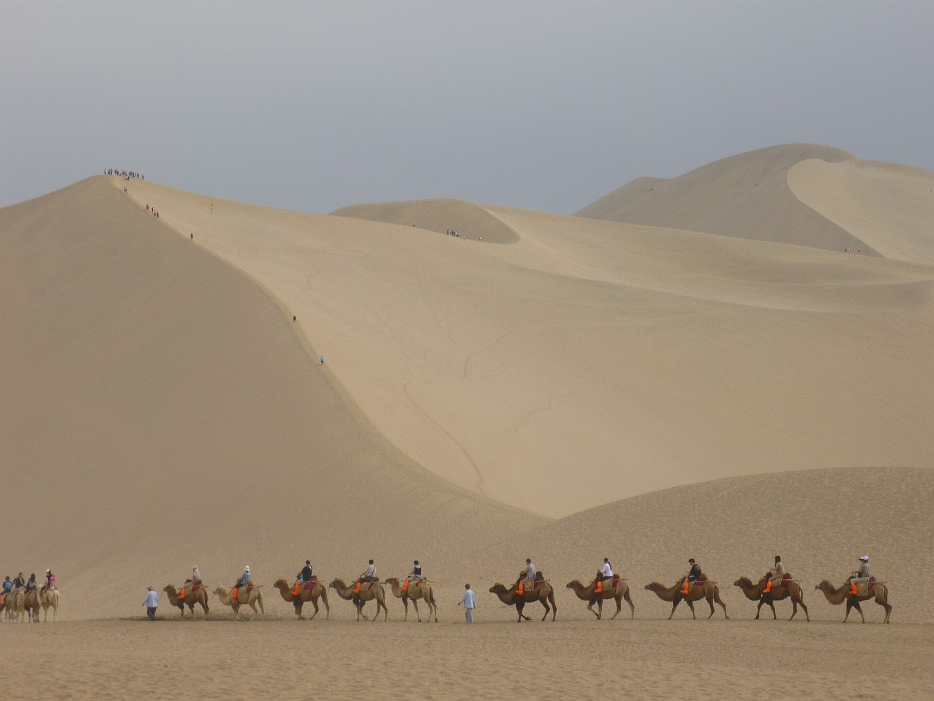 A camel caravan walking beneath the giant sand wall of the Mingsha dunes, Dunhuang