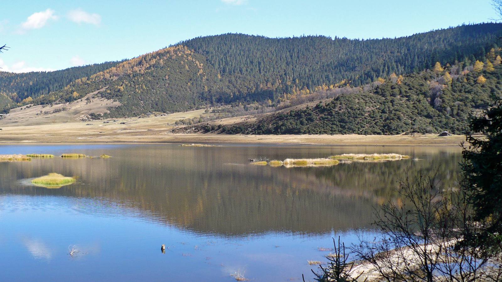 Bita Lake in Pudacuo National Park: forested hills, meadow islets and mirror water