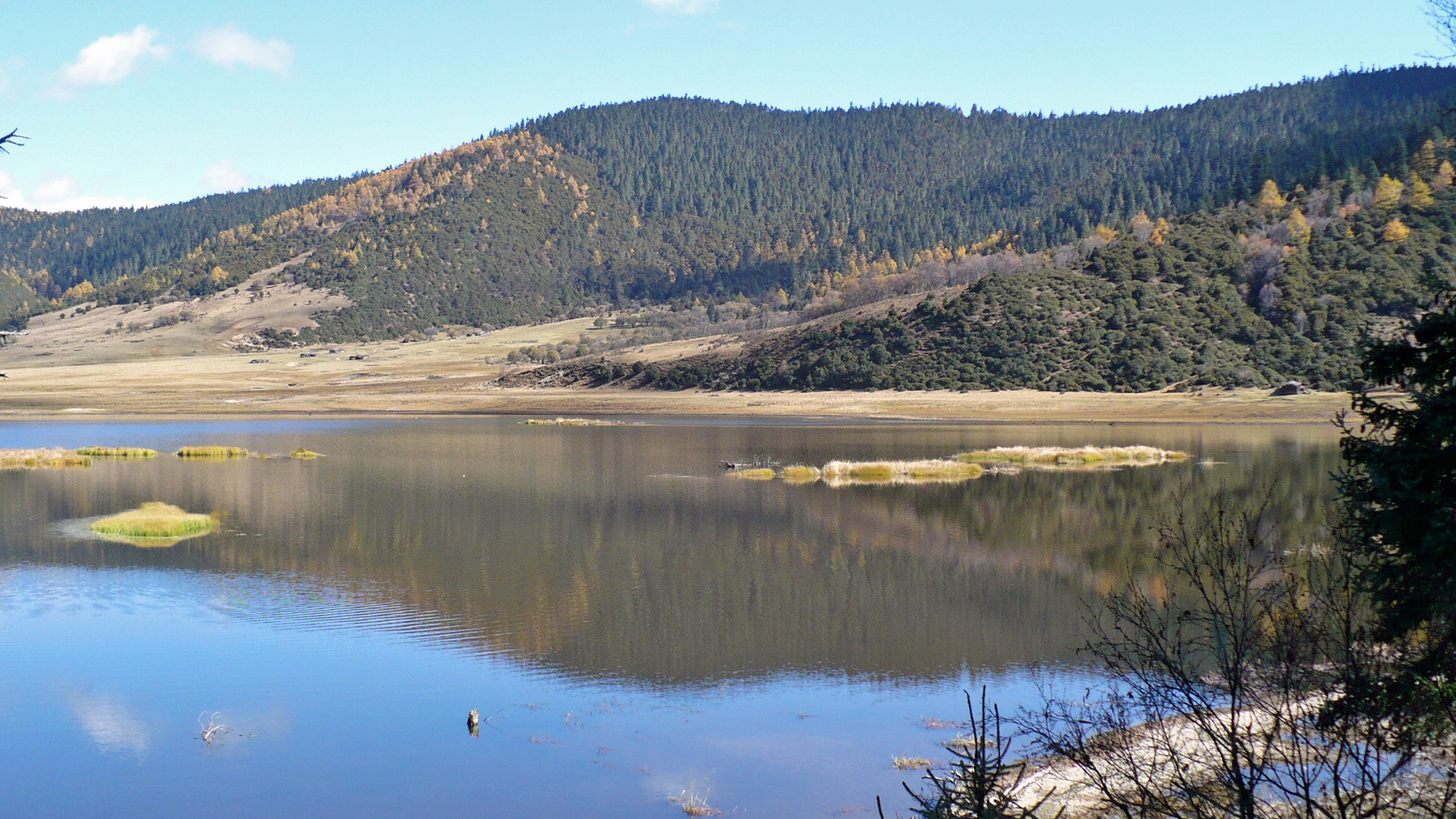 Bita Lake in Pudacuo National Park: forested hills, meadow islets and mirror water